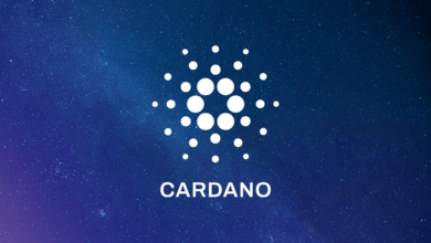 Cardano gia tăng áp dụng ở Mỹ, thúc đẩy tăng trưởng hệ sinh thái